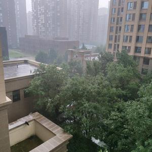 洋洋家头像