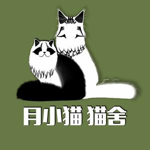 月小猫同学头像