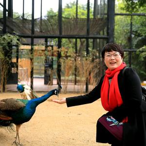 羽阳宝石商行头像