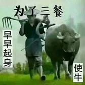 勇往直前的天成头像
