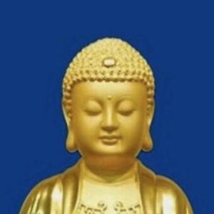 菩提禅心头像