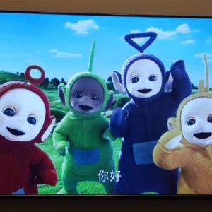 东子的小院头像