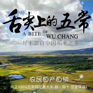龙江五常稻花香老赵头像