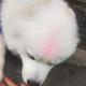 钉钉猫儿177头像