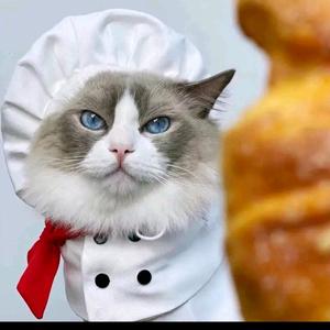 猫哥电影88头像