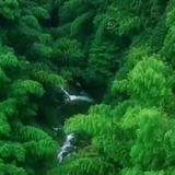 一生有你DGZ头像