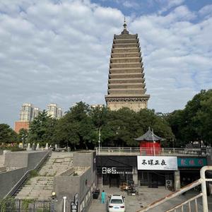 老林头头像