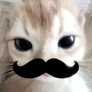 Baby小桃头像