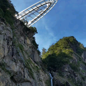 北园龙哥头像