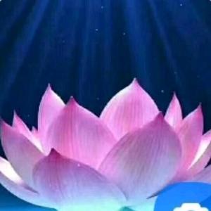 大地8V5s头像