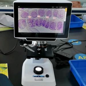 爱科学数码显微镜头像