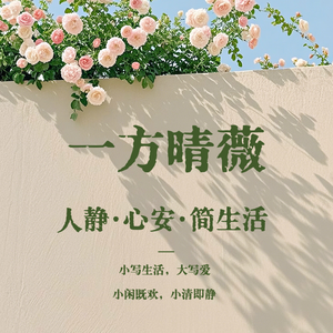小进一步日记头像