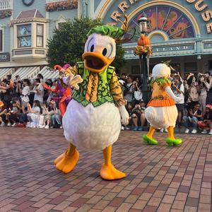 屿枫DY头像