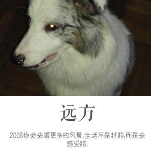 MIAO14头像