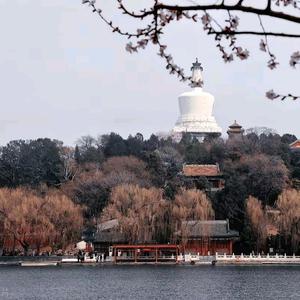 晓筝兆闻观世界头像