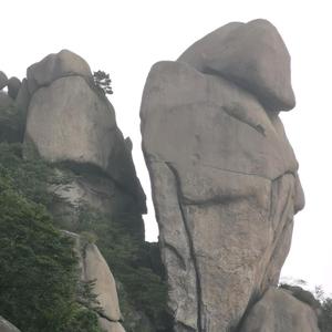 阜阳潮流二手车头像
