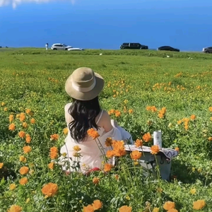 山河锦绣头像