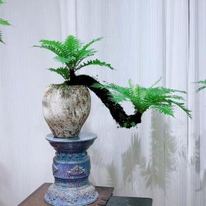 木火头像