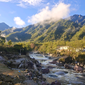 路过人间头像