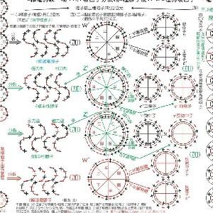 金色滴飞贼头像