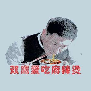 双鹰爱吃麻辣烫头像