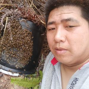 诱蜂合伙人头像