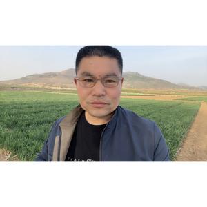 山东文哥头像
