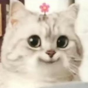 俊坤kun头像