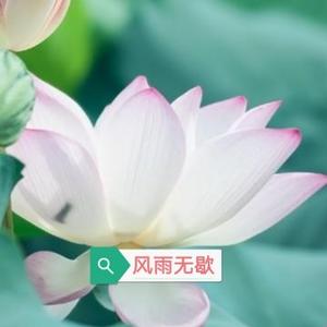 风雨无歇头像