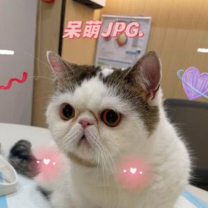 再看亿遍头像