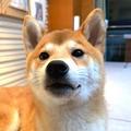 遇见单县头像