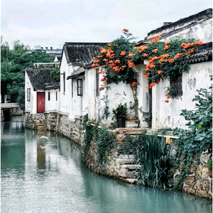 清散浮华头像