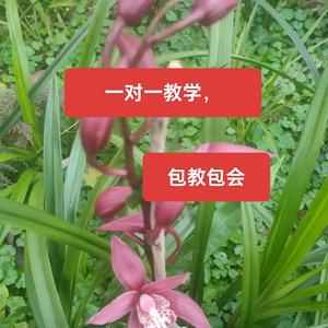 缘份0a7F头像