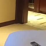 表里如一李宝头像
