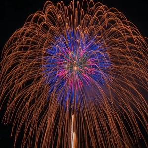 接受平庸头像