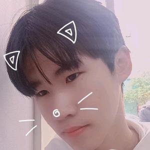 科技轮船9h0头像