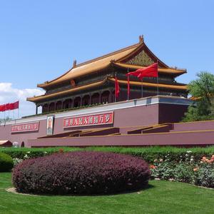 只爱这座城头像