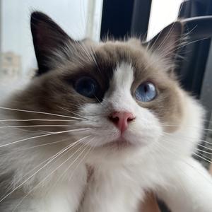 在深圳漂流的小赖头像