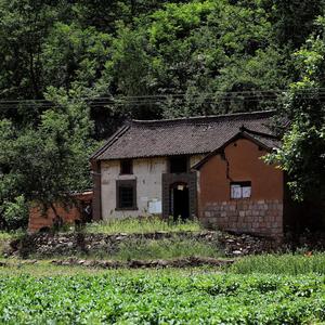 小舅大外甥头像