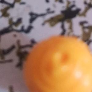 venus金星社团 头像