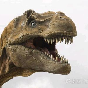 恐龙争霸头像