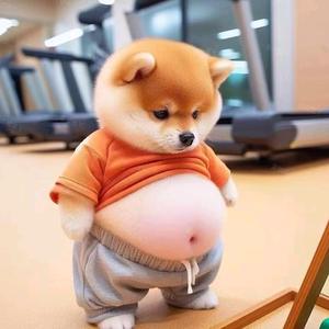锋范头像