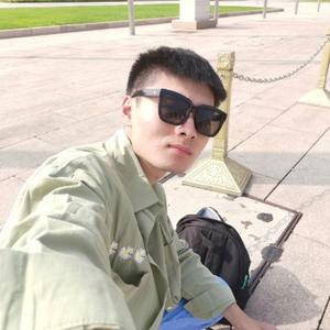 顺子vlog头像
