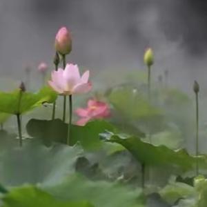 九月阳光头像