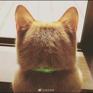 濯淼头像