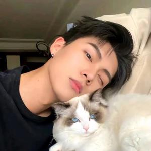 小羽呀头像