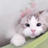 自由烟台头像
