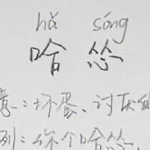 西城街二哥头像