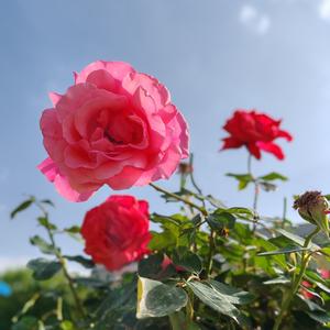 多彩画画头像