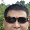 用户文斌头像